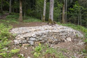 Delno rekonstruiran zid ob utrjeni poti do gradišča.